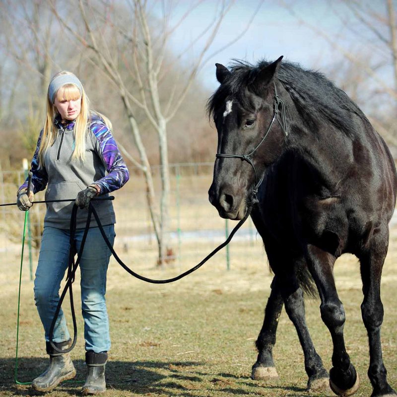 sheri-hooley-9PAlLg6ji6I-unsplash